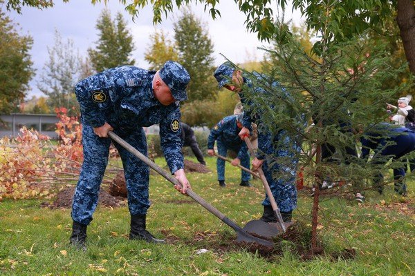 В Щиграх высадили деревья