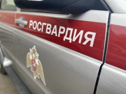 Сотрудники Росгвардии задержали более 700 правонарушителей на маршрутах патрулирования в Томской области